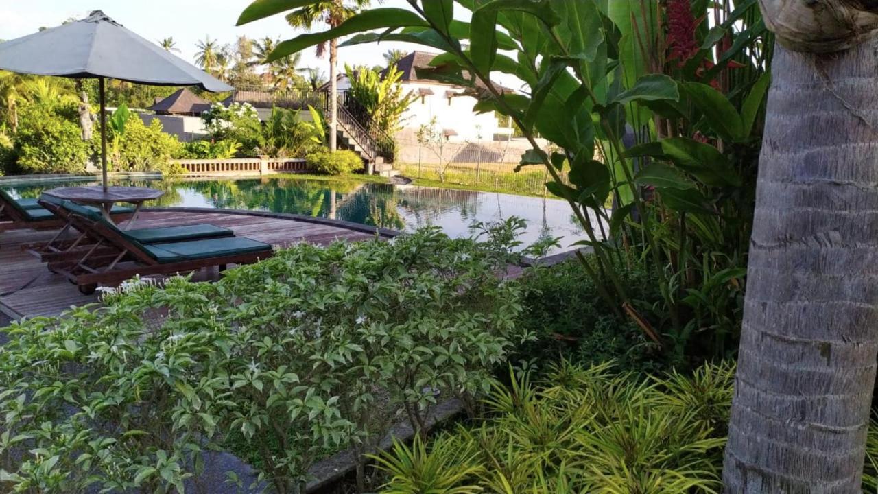 Darra Ria Villa Ubud Bagian luar foto